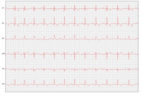 Cardiologista veterinário