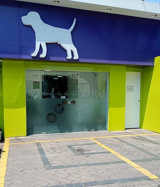 Exame pcr veterinário na Lapa